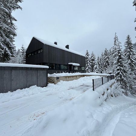 Chalet Dachstein Ramsau am Dachstein Eksteriør billede