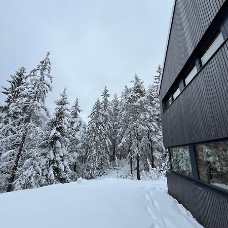 Chalet Dachstein Ramsau am Dachstein Eksteriør billede