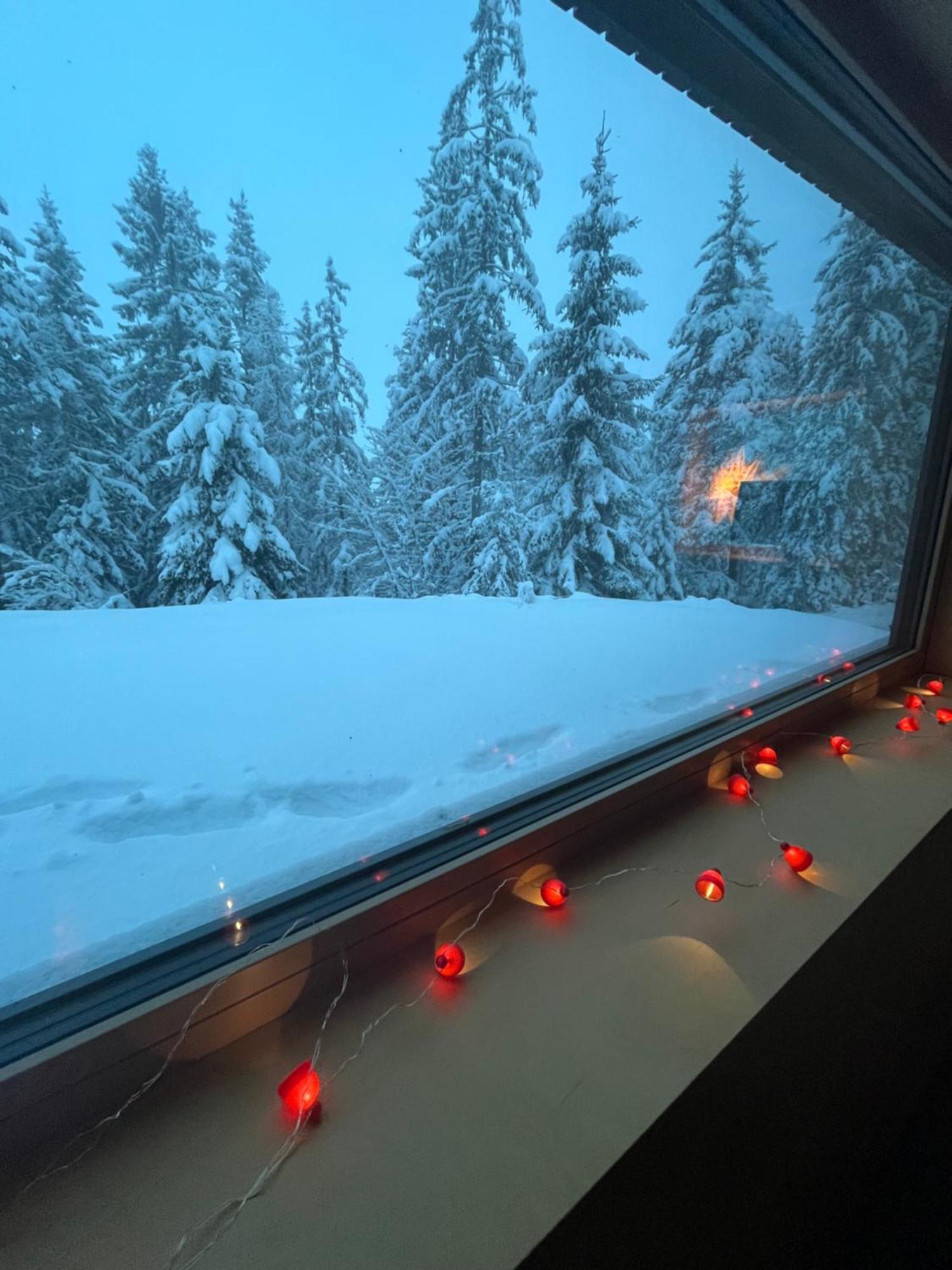 Chalet Dachstein Ramsau am Dachstein Eksteriør billede